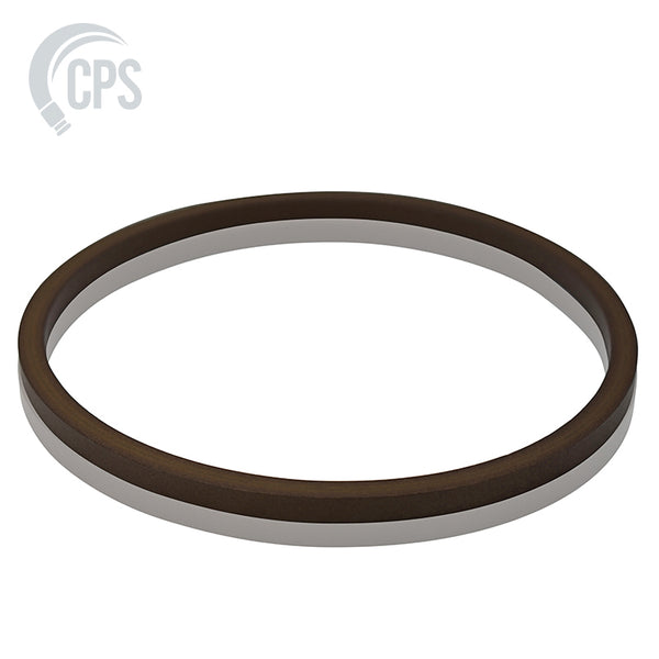 Wiper Ring, ( D-110 )