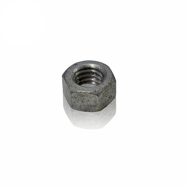 Hex Nut
