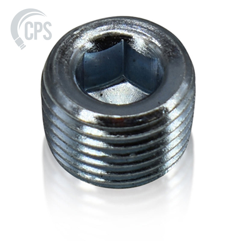 Plug, ( 1/8" ) National Taperred Pipe Thread Hex Counter Sunk